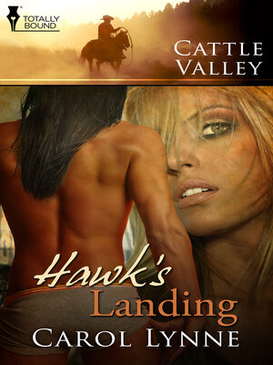 cover image of Hawk's Landing